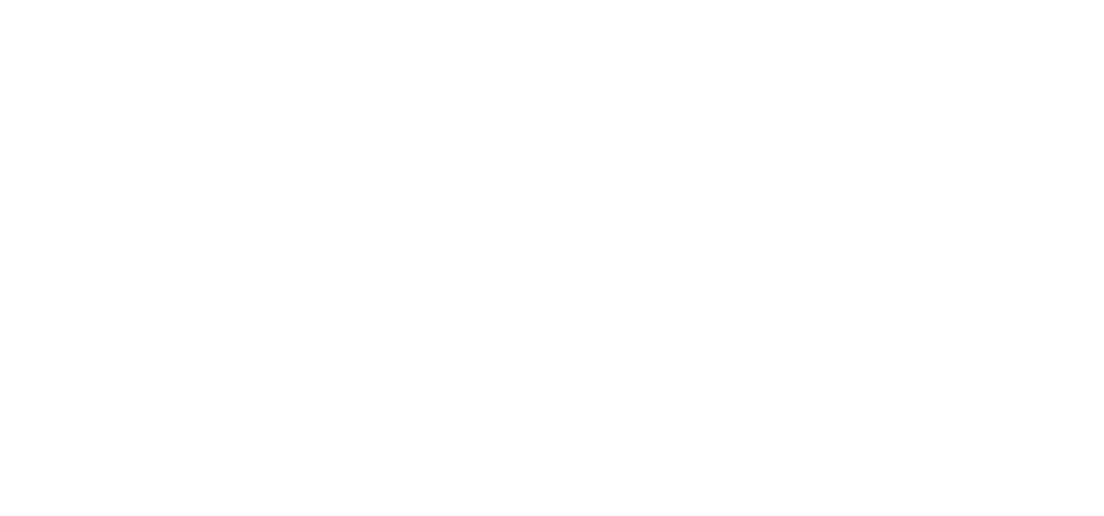 VectorCamp Logo Dark